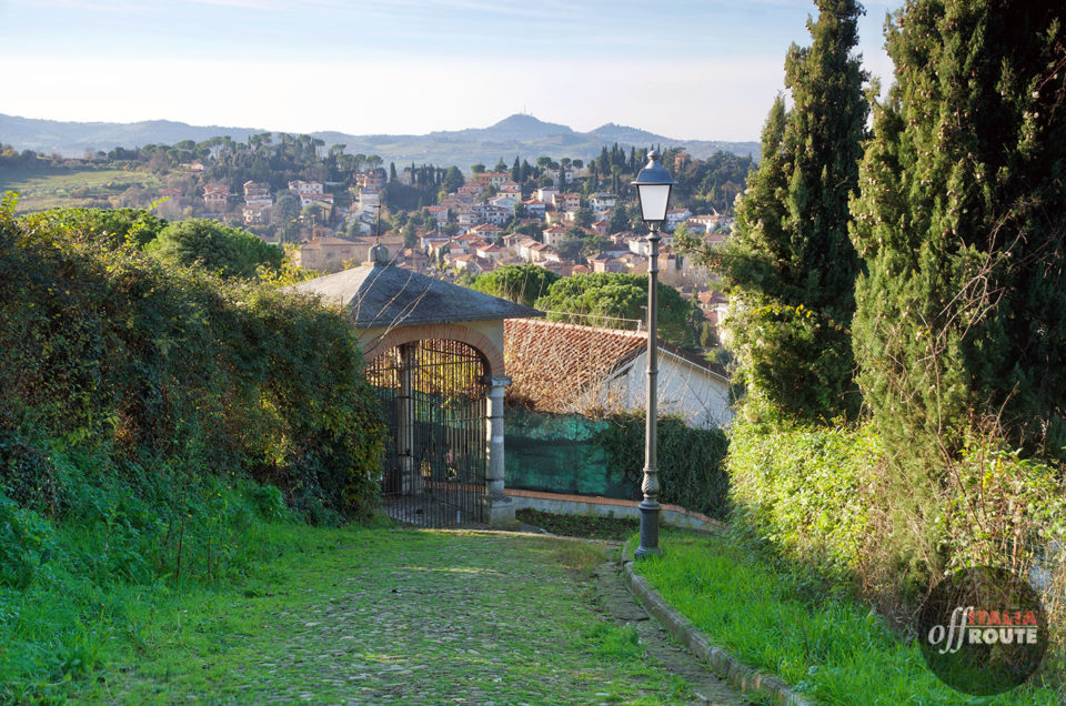 Tra le vette di Cesena si scorgono bei panorami sulle colline circostanti