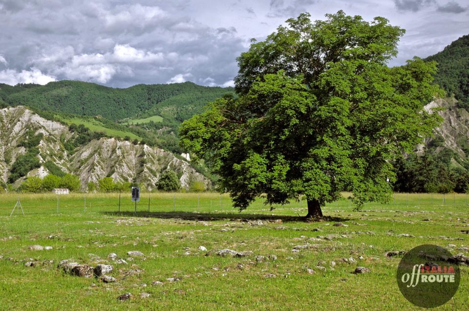 Il parco storico di Monte Sole