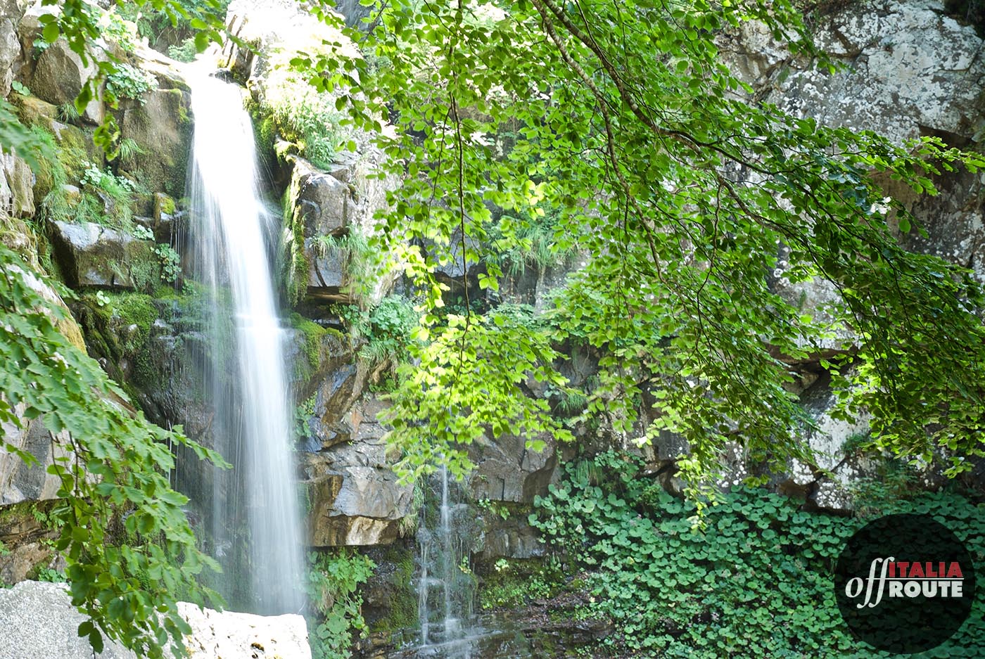 Gli alberi celano la vista de le cascate del dardagna